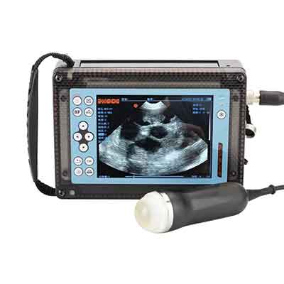 兽用B超机