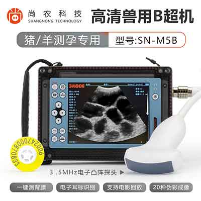 兽用B超机