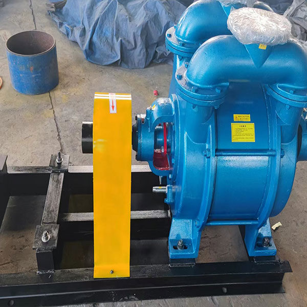 防爆真空泵、铸造真空泵