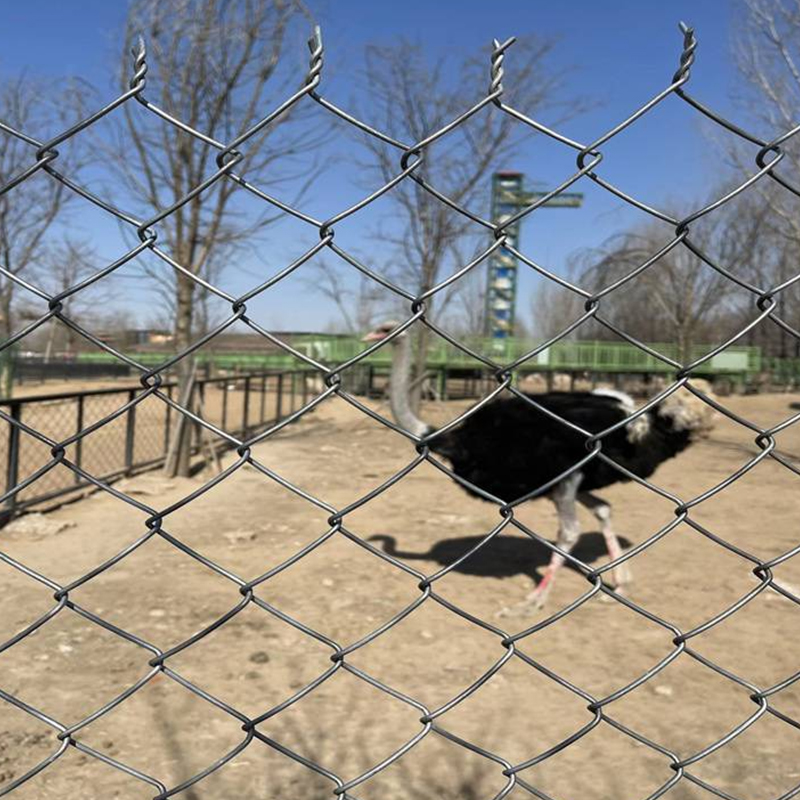 煤矿支护网、养殖围栏网