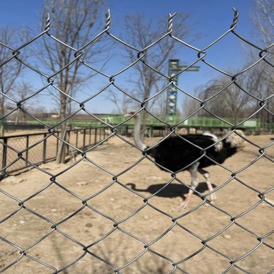 煤矿支护网、养殖围栏