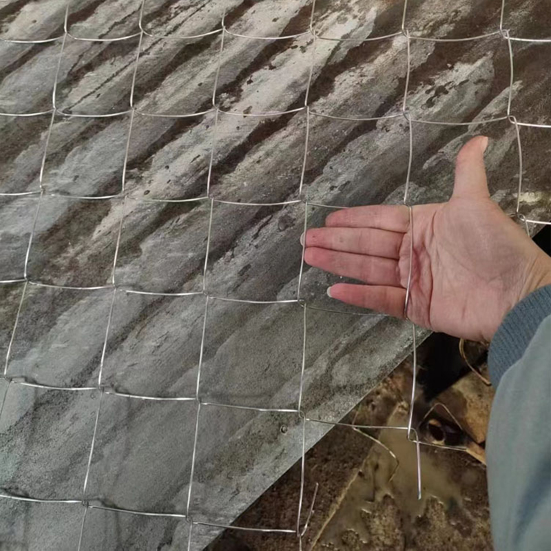 煤矿支护网、养殖围栏网