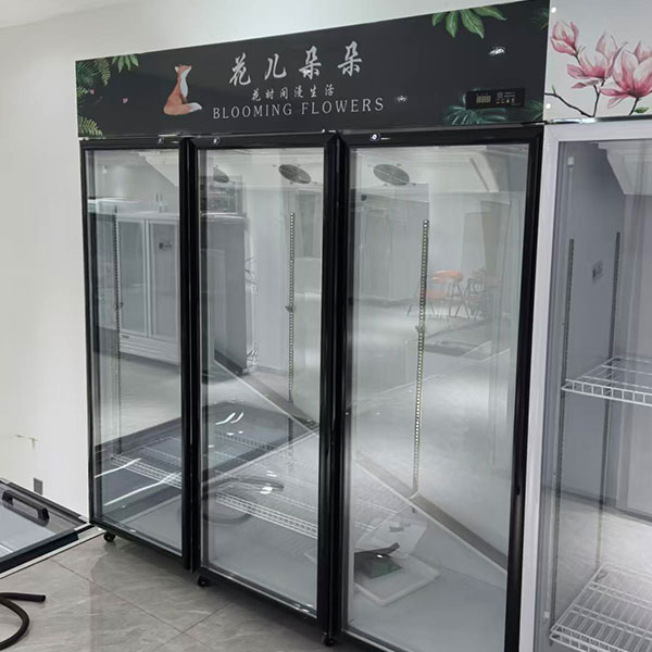 啤酒饮料柜